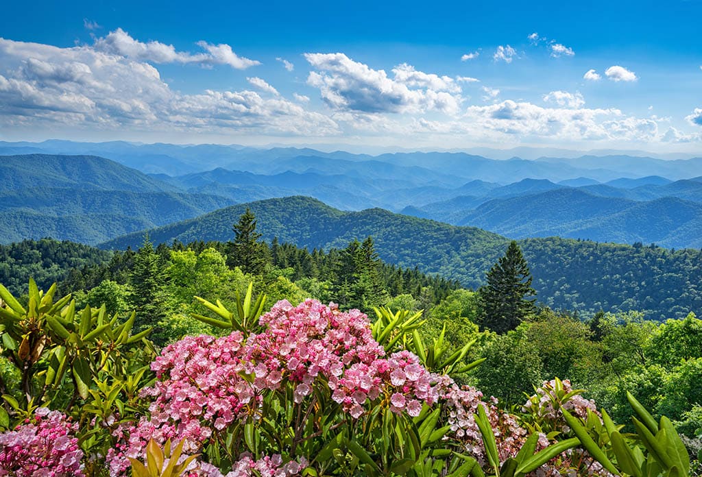 Top 10 Summer Activities in Bryson City and the Great Smoky ...