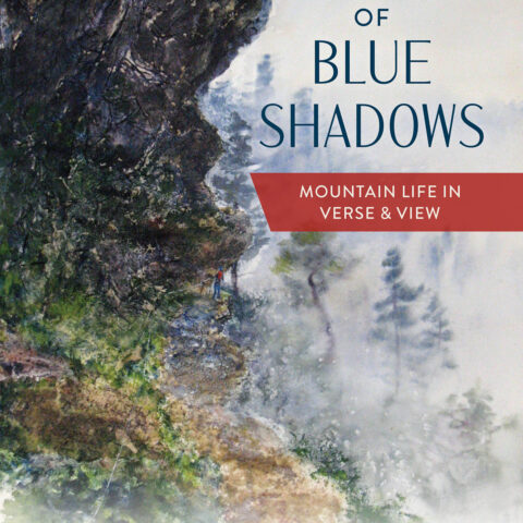 Land of the Blue Shadows book cover