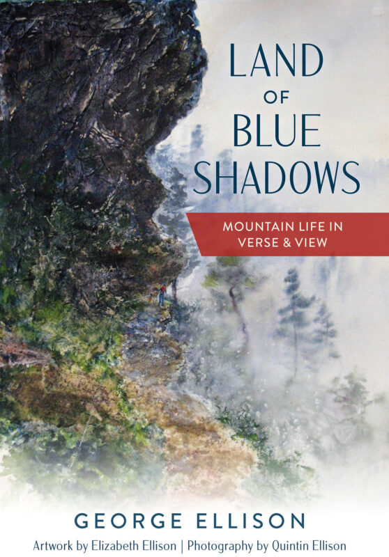 Land of the Blue Shadows book cover