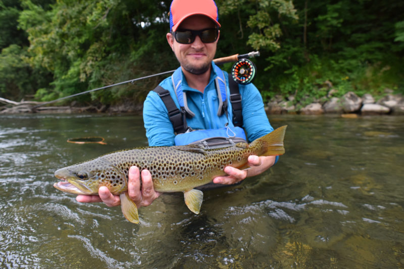 man fishing brown trout near Bryson City NC