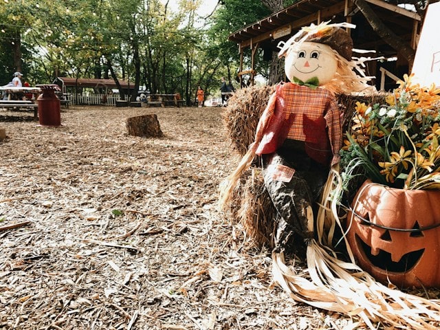 Fall festival near Bryson City NC