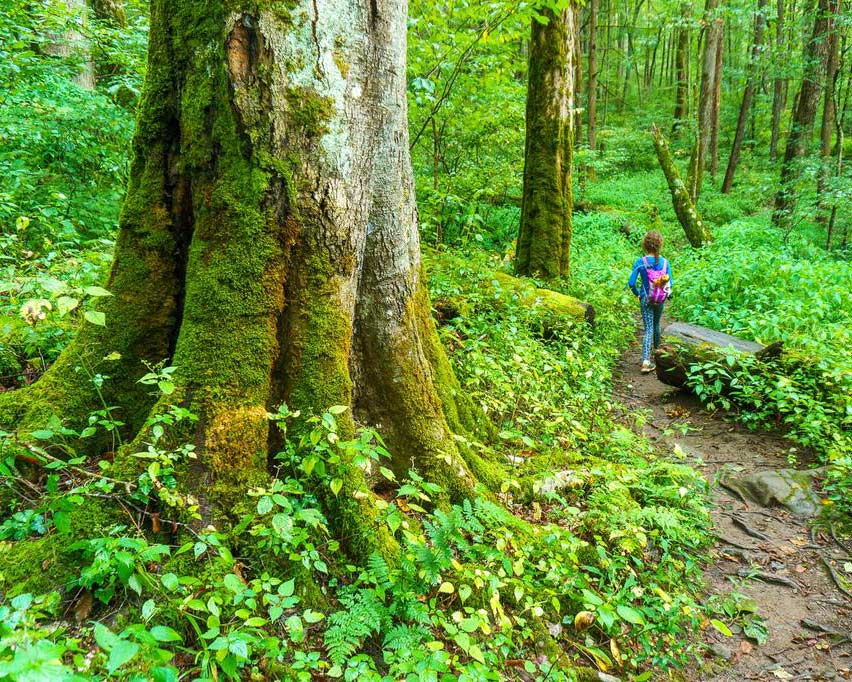 Hike near Bryson City
